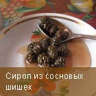 Сироп из шишек