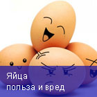 Яйца - польза и вред