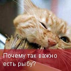 Польза рыбы