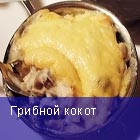 Кокот