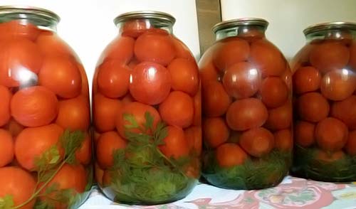как еонсервировать помидоры с морковной ботвой
