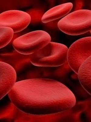 Диета по группам крови