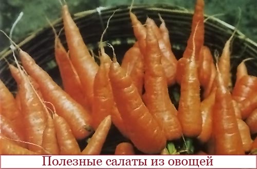 Морковь богатая витаминами