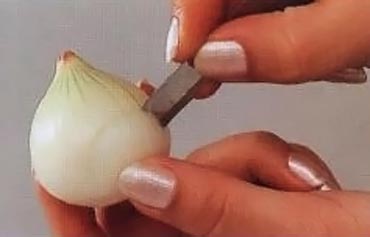 вырежьте вокруг луковицы 4-5 лепестков