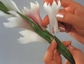 Зафиксируйте самый маленький цветок 