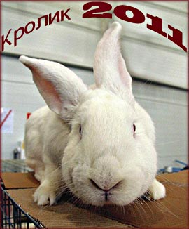 Новогодний кролик 2011