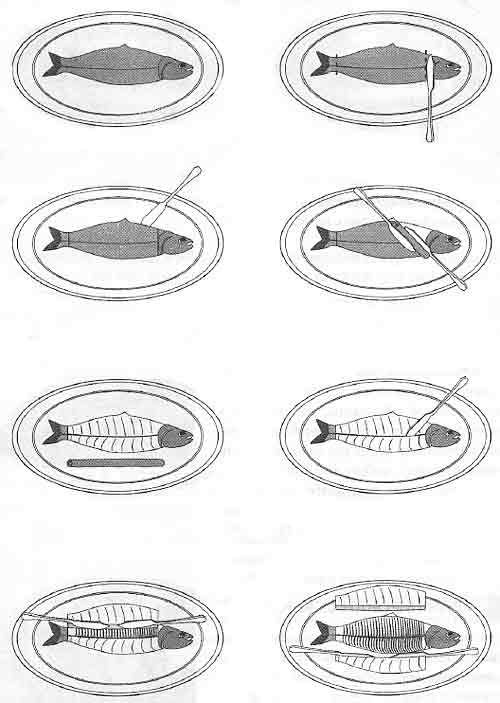 Последовательность транширования рыбы