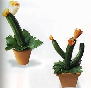Цветы для кактусов 
